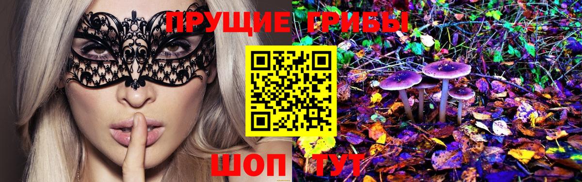 Псилоцибиновые грибы Psilocybe  Вход с VPN  дарнет шоп  Дзержинск 